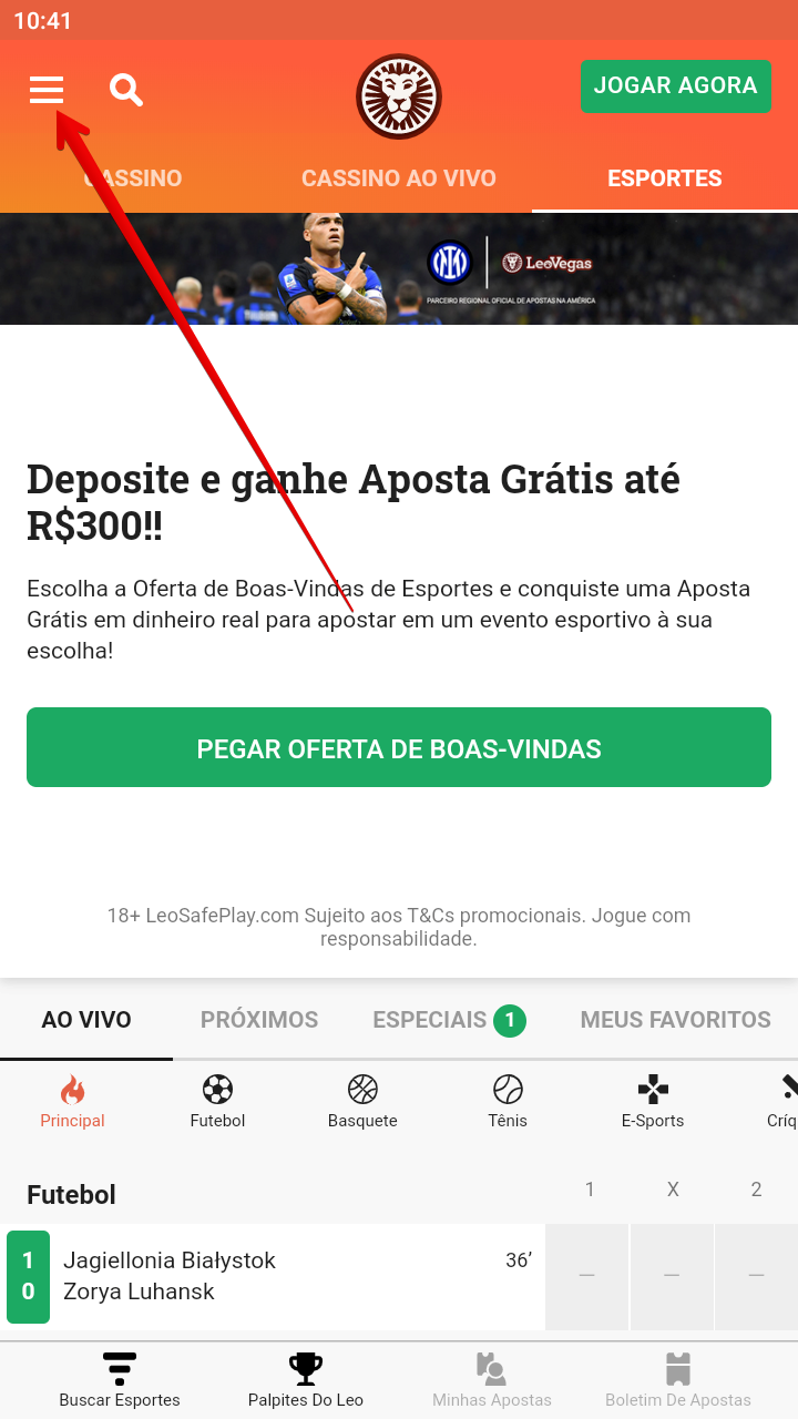 Botão de chamada do menu lateral, Seção Ajuda., Métodos de ajuda